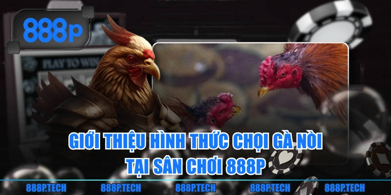 Giới thiệu hình thức chọi gà nòi tại sân chơi 888P