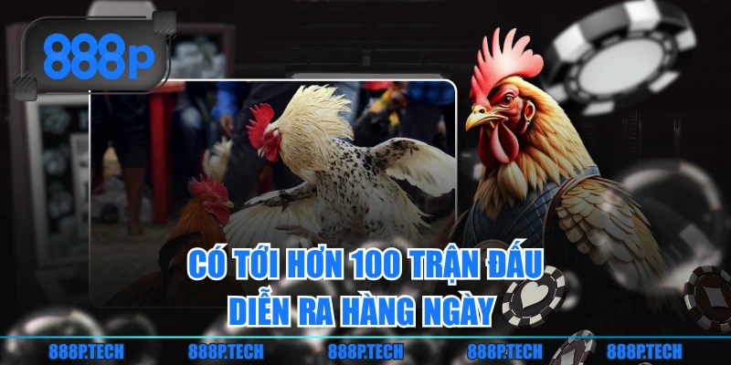 Có tới hơn 100 trận đấu diễn ra hàng ngày 