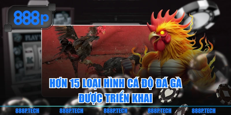 Hơn 15 loại hình cá độ đá gà được triển khai