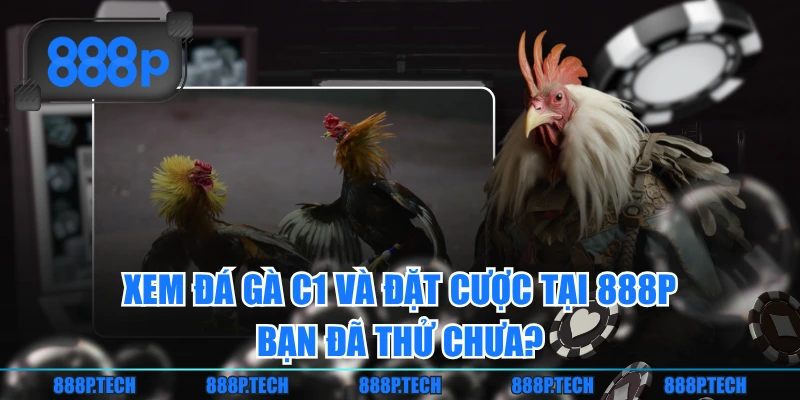 Xem Đá Gà C1 Và Đặt Cược Tại 888P - Bạn Đã Thử Chưa?
