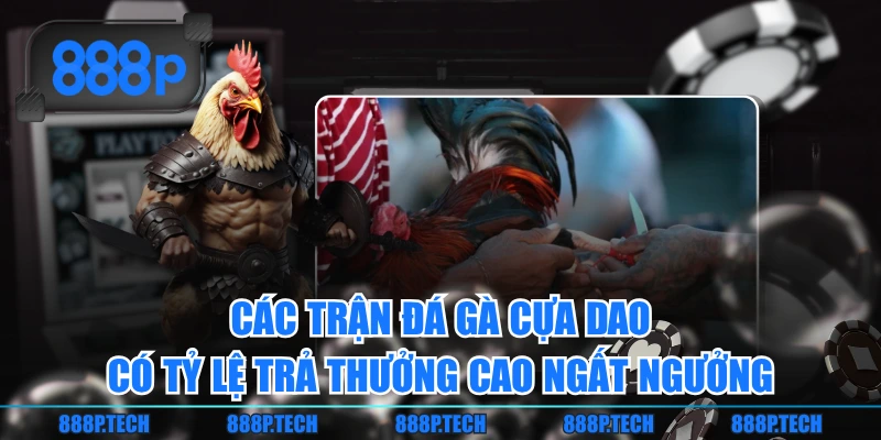 Các trận đá gà cựa dao có tỷ lệ trả thưởng cao ngất ngưởng